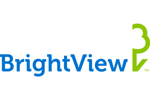Bright View